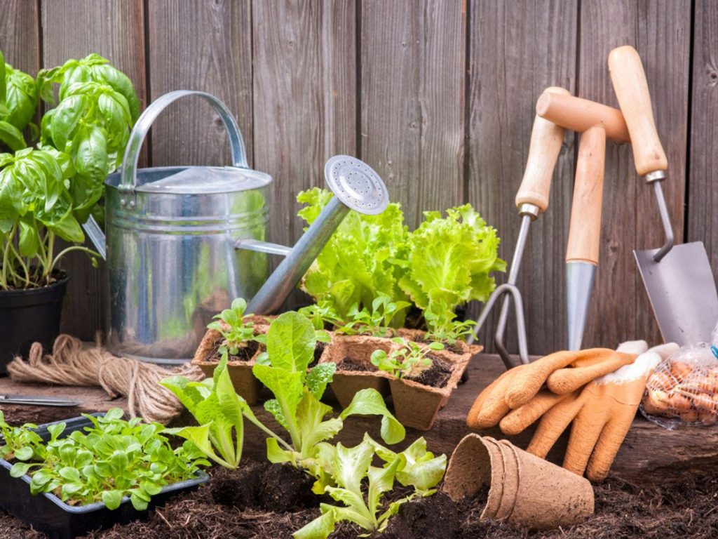 Der Ultimative Gartenführer: Tipps für Einsteiger