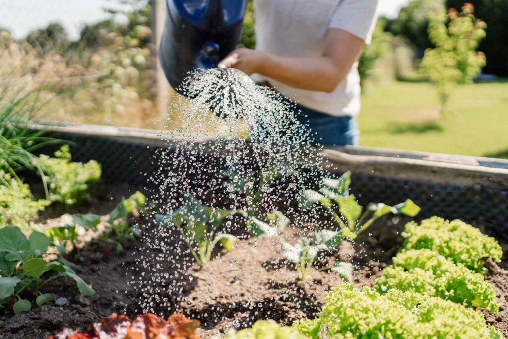Gartenarbeiten